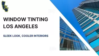 Window Tinting Los Angeles Sleek Look, Cooler Interiors