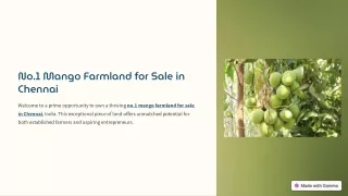 No.1 Mango Farmland for Sale in Chennai