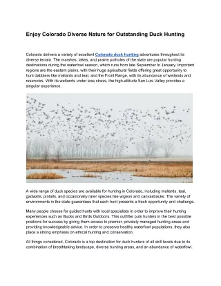 Enjoy Colorado Diverse Nature for Outstanding Duck Hunting