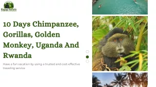 Enjoy 10 Days Chimpanzee, Gorillas, Golden Monkey, Uganda And Rwanda