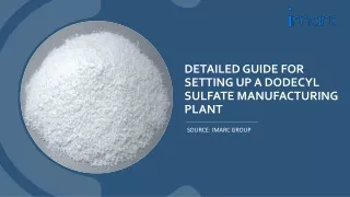 Dodecyl Sulfate Manufacturing Plant Project Report