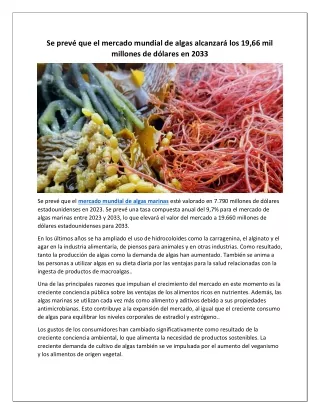 Mercado Mundial de Algas Marinas