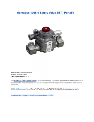 Montague 1065-0 Safety Valve 3_8_ _ PartsFe