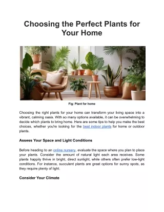 Choosing the Perfect Plants for Your Home
