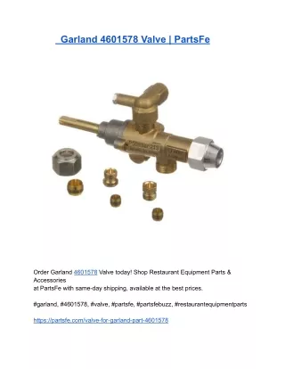 Garland 4601578 Valve _ PartsFe