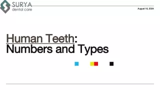 How Many Number of Teeth Does Humans Have - Surya Dental Care