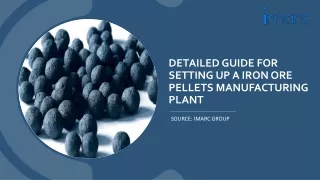 Setting Up a Iron Ore Pellets Manufacturing Unit PDF