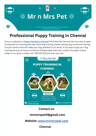 Professional Puppy Training in Chennai