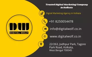 Digital Wolf: Trusted Digital Marketing Company in Kolkata