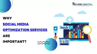 Why Social Media Optimization Services Are Important?