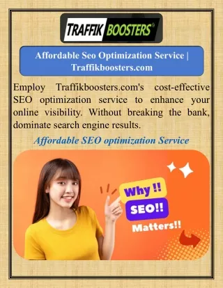 Affordable Seo Optimization Service  Traffikboosters.com