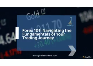 Forex 101: Navigating the Fundamentals of Your Trading Journey