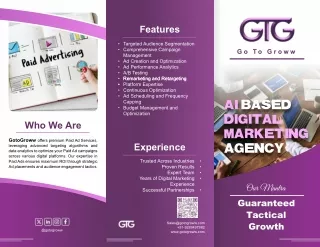 Maximize ROI with Expert Paid Ad Services