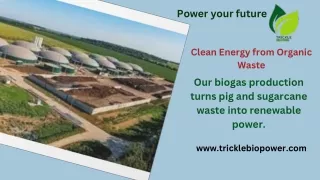 Invest in renewable energy with our biogas technology