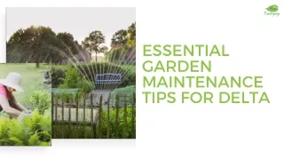 Essential Garden Maintenance Tips for Delta