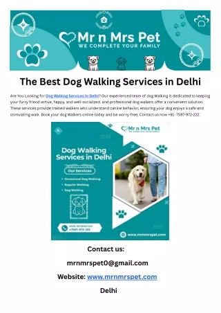 The Best Dog Walking Services in Delhi