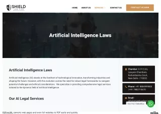 Artificial Intelligence Laws in Delhi