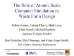 The Role of Atomic Scale Computer Simulation in Waste Form Design