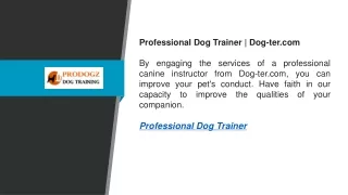Professional Dog Trainer  Dog-ter.com