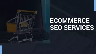 Ecommerce SEO Services