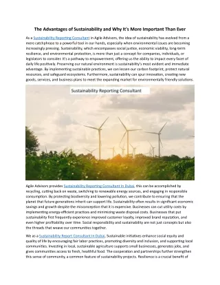The Advantages of Sustainability and Why It's More Important Than Ever
