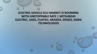 Electric Vehicle ECU Market