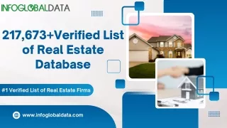 InfoGlobalData: Best Real Estate Email Database Provider