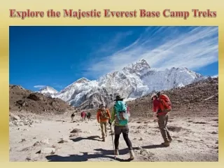 Explore the Majestic Everest Base Camp Treks