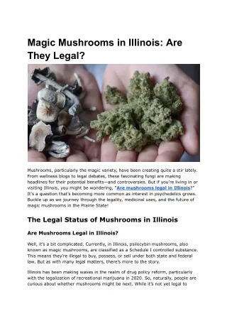 Magic Mushrooms in Illinois_ Are They Legal