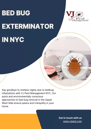 Bed Bug Extermination Services In NYC - Vj Pest