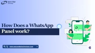 How WhatsApp Panels Facilitate Bulk Messaging