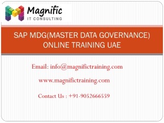SAP MDG Online Training uae | MAGNIFIC TRAINI
