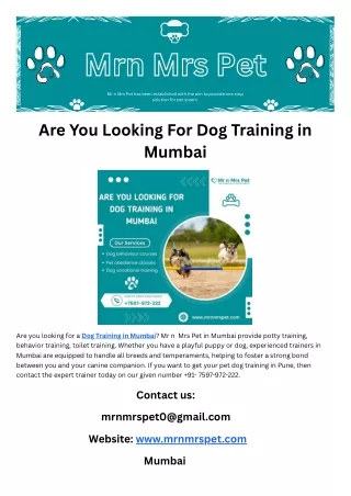 Are You Looking For Dog Training in Mumbai