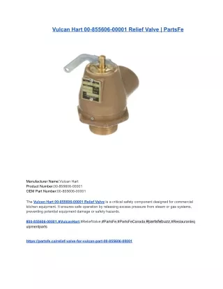 Vulcan Hart 00-855606-00001 Relief Valve _ PartsFe