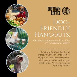 Dog-Friendly Hangouts Celebrate National Dog Day at Dogtown Coffee