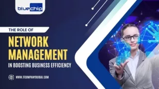 The Role of Network Management in Boosting Business Efficiency