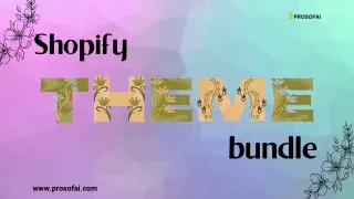 Build a Stunning Store with the Shopify Themes Bundle