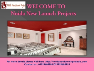 MMR Group New Project Noida