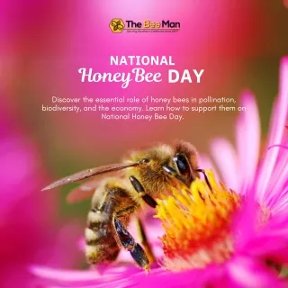 Celebrating National Honey Bee Day Why Bees are Essential for Our Ecosystem