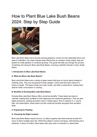How to Plant Blue Lake Bush Beans 2024- Step by Step Guide