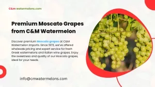 Fresh Italian Wine Grapes & Greek Watermelons | C&M Imports