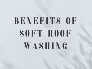 Benefits Of Soft Roof Washing