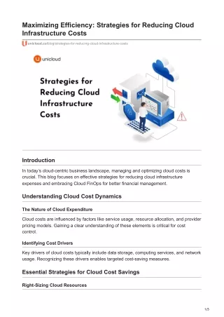 Maximizing Efficiency: Strategies for Reducing Cloud Infrastructure Costs