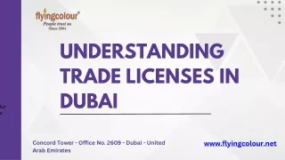 Understanding Trade Licenses in Dubai