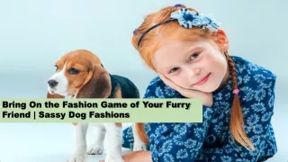 Bring On the Fashion Game of Your Furry Friend  Sassy Dog Fashions