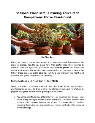 Seasonal Plant Care - Ensuring Your Green Companions Thrive Year-Round