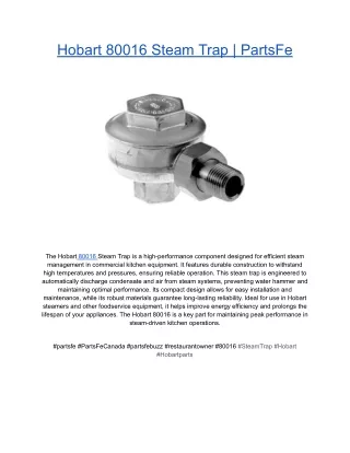 Hobart 80016 Steam Trap _ PartsFe