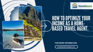 How to optimize your income as a home-based travel agent.