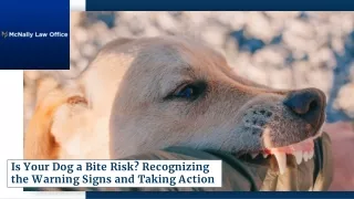 Is Your Dog a Bite Risk? Recognizing the Warning Signs and Taking Action