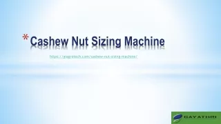 Automatic Raw Cashew Nut Sizing System, Cashew Nut Size Grading Machine Manufact